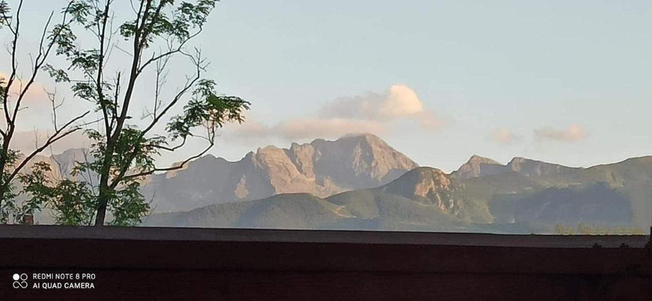 Przedsionek Tatr Villa Zakopane Exteriör bild
