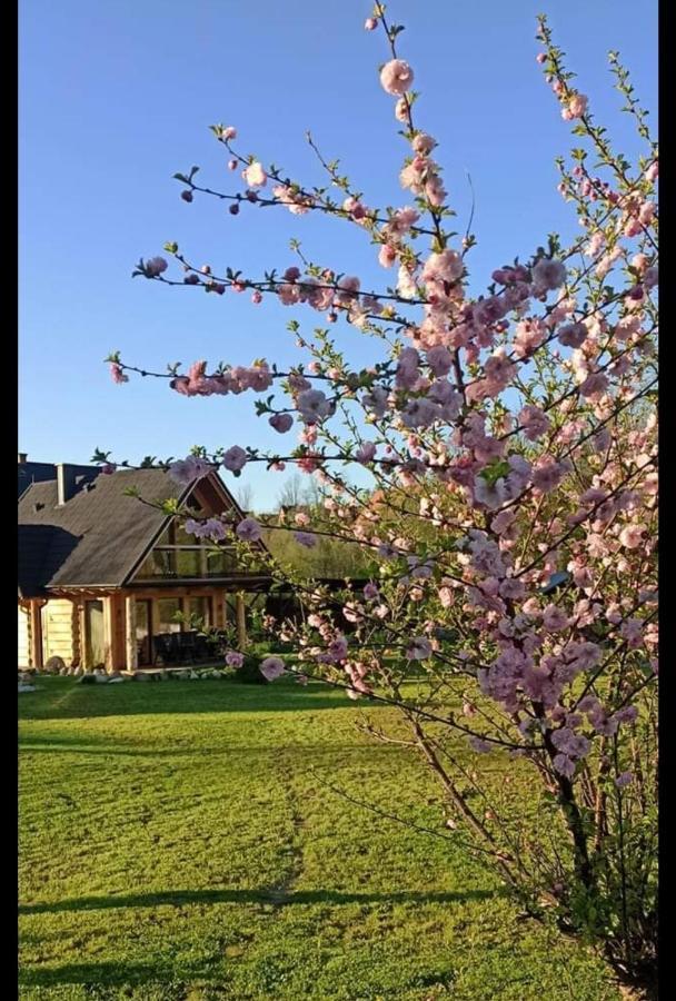 Przedsionek Tatr Villa Zakopane Exteriör bild